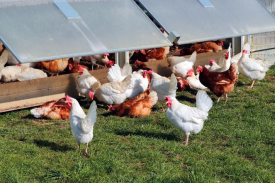 现代化规；臣巴涝准庸は钅靠尚行匝芯勘ǜ