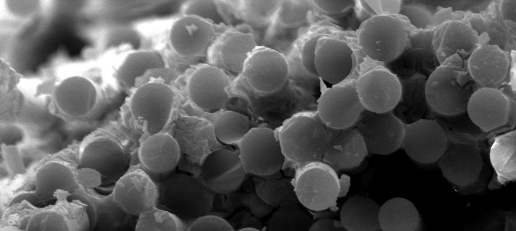 必发888(唯一)官方网站