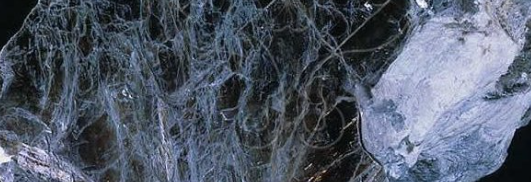 必发888(唯一)官方网站