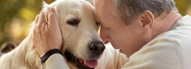 必发888(唯一)官方网站