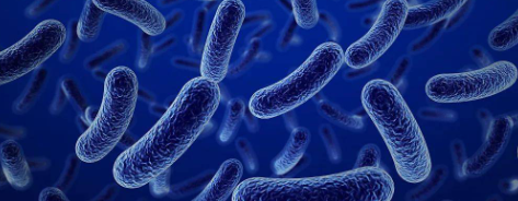 必发888(唯一)官方网站