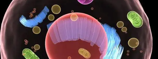 必发888(唯一)官方网站