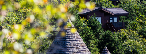 必发888(唯一)官方网站