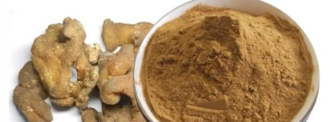 必发888(唯一)官方网站