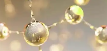 必发888(唯一)官方网站