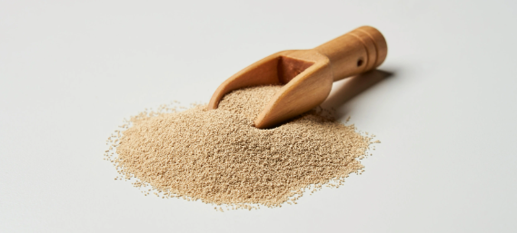 必发888(唯一)官方网站