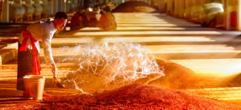 必发888(唯一)官方网站