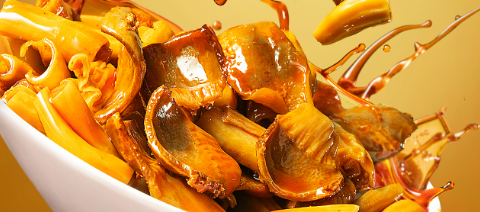 必发888(唯一)官方网站