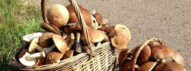 必发888(唯一)官方网站