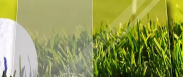 必发888(唯一)官方网站