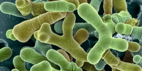 必发888(唯一)官方网站