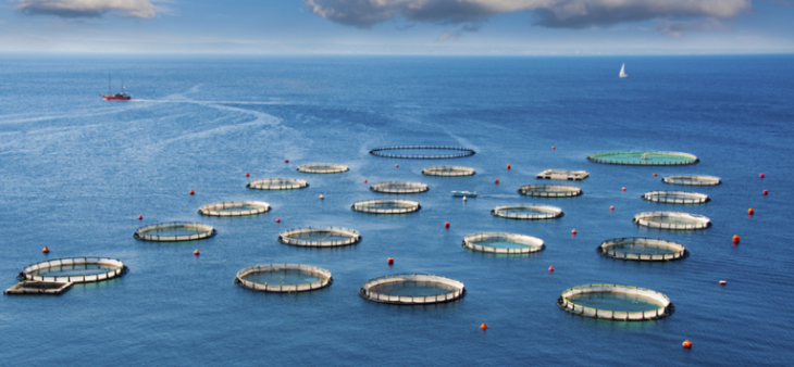 必发888(唯一)官方网站