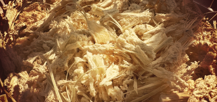 必发888(唯一)官方网站