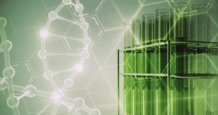 必发888(唯一)官方网站