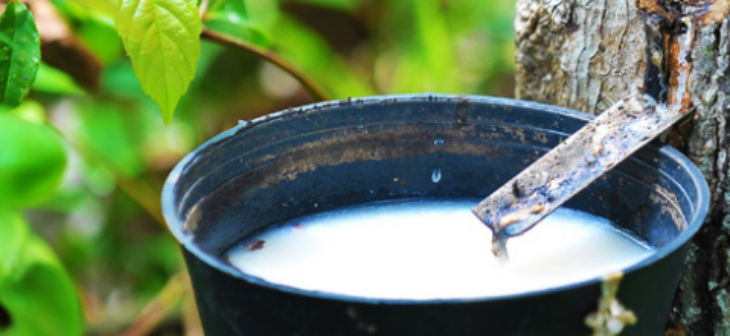 必发888(唯一)官方网站