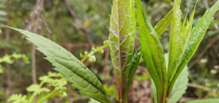 必发888(唯一)官方网站