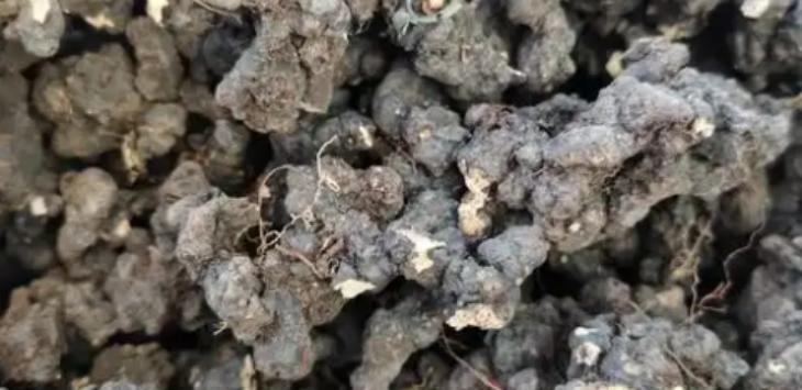 必发888(唯一)官方网站