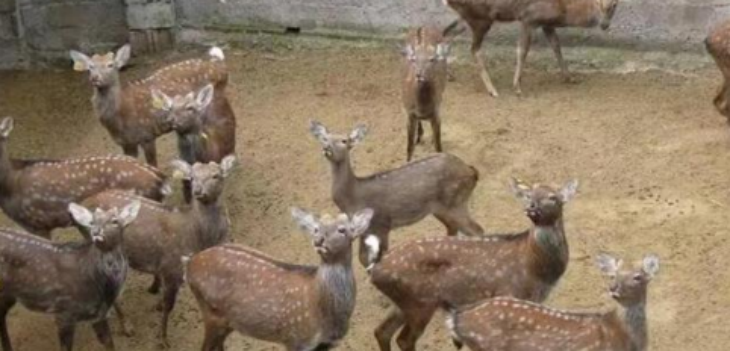 必发888(唯一)官方网站