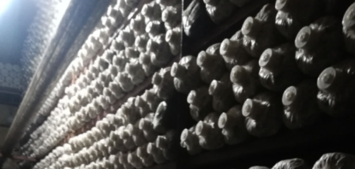 必发888(唯一)官方网站