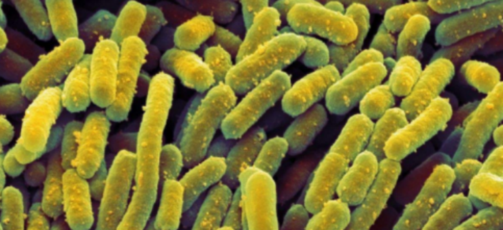 必发888(唯一)官方网站