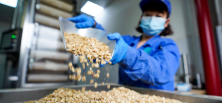 必发888(唯一)官方网站