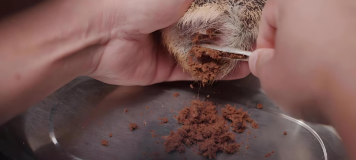 必发888(唯一)官方网站