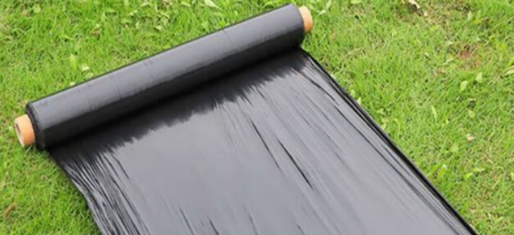 必发888(唯一)官方网站