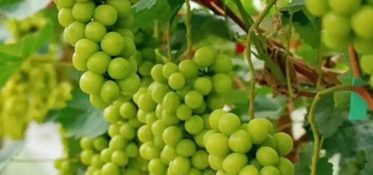 必发888(唯一)官方网站