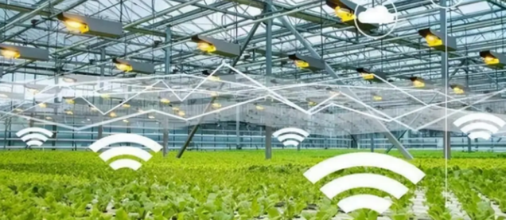 必发888(唯一)官方网站