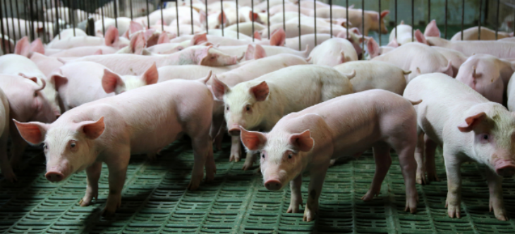 必发888(唯一)官方网站