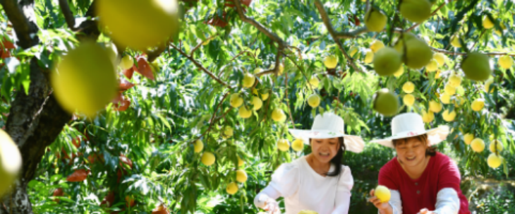 必发888(唯一)官方网站