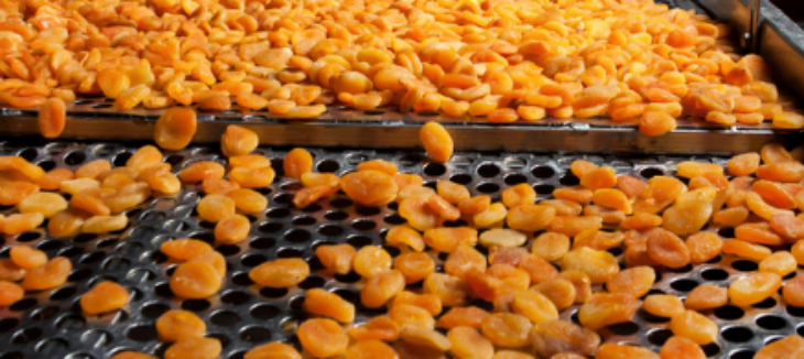 必发888(唯一)官方网站