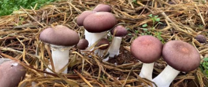 必发888(唯一)官方网站