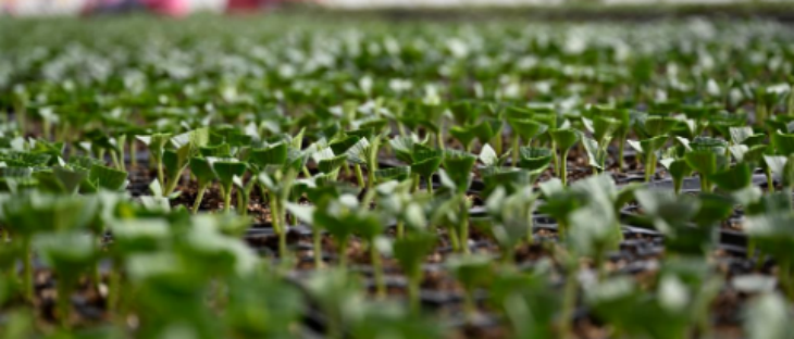 必发888(唯一)官方网站