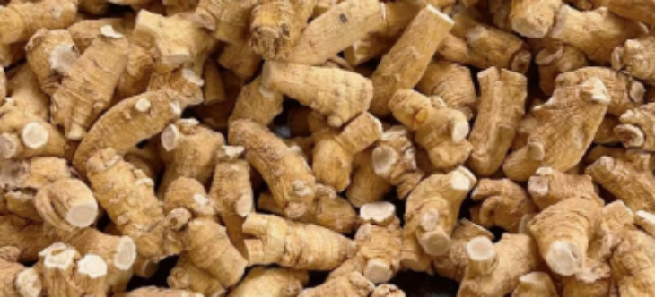 必发888(唯一)官方网站