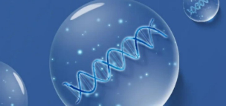 必发888(唯一)官方网站