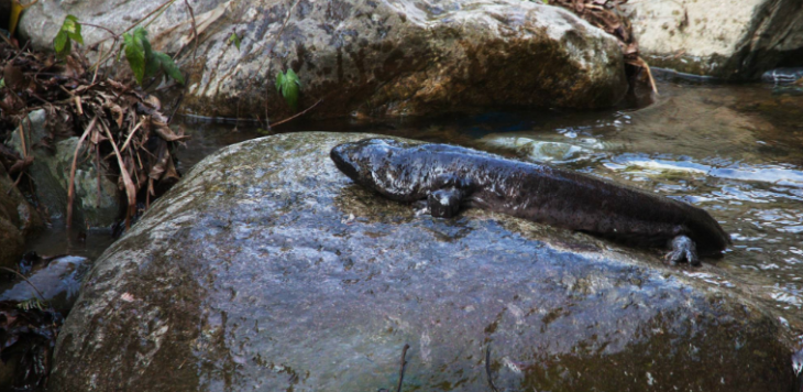 必发888(唯一)官方网站