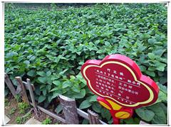 宝马bm1122线路顶级(中国)有限公司官网