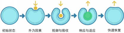 宝马bm1122线路顶级(中国)有限公司官网