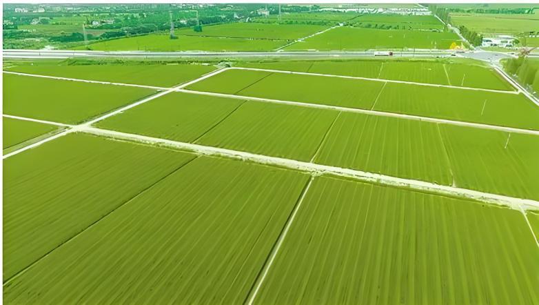 宝马bm1122线路顶级(中国)有限公司官网